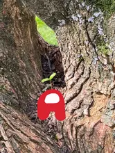 Sudadera con cremallera para mujer, estilo coreano, Top Vintage liso de manga larga, de gran tamaño Sudadera con capucha, chaqueta, abrigos grandes informales