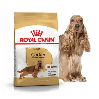 Royal Canin Cocker Adult для собак породы кокер-спаниель, 12 кг 
Royal Canin Cocker Adult для собак породы кокер-спаниель, 12 кг