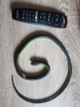 Juguete de goma blanda 80cm serpiente, Safari accesorios para jardín broma regalo novedad y Gag jugando bromas Juguetes
