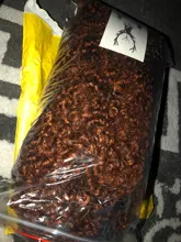 Afro corto rizado pelucas con flequillo para las mujeres negras rubia marrón Cosplay sintético Africana pelucas resistente al calor Lizzy