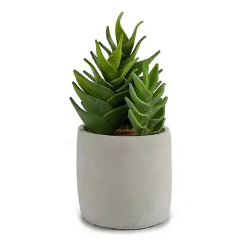 Cactus Plastic Cactus (12 x 24 x 12 cm)
Cactus Plastic Cactus (12 x 24 x 12 cm)