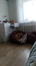Portátil mordedores de juguete para perros discos voladores perro juguetes interactivos anillo de formación al aire libre para la pequeña mascota grande perro movimiento productos de herramientas
