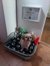 Plush-Cushion Puppy-Mat Pet-Bed Kennel Dogs Small Large Cute Cat Round Tyteps Warm