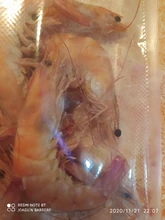 Rollo de bolsas gofradas de envasado al vacío alimentario (28 cm x 6 metros) (2 Uds.) Para todo tipo de envasadora doméstica