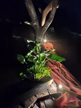 Spotlight Separately-Lamp Solar-Panel Garden-Tree Landscape Yard Warm T-SUNRISE 2 White