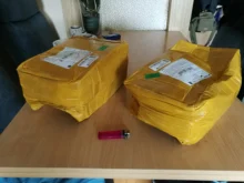 Cebo de espuma EVA para tiro con arco 3D, cebo de Animal para Paloma, para entrenamiento de caza al aire libre, vacío en el interior, 10 unids/lote