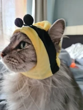 Gorro de algodón suave con dibujos animados para gatos y perros, gorro cálido, accesorios para mascotas, cinta del pelo de felpa, sombrero para mascotas