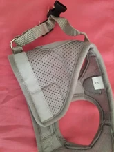 Dog Cat Harness Reflective Vest Pet Chest Strap Mesh Breathable Dog Harness And Walking