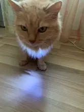 Collar para perro recargable por USB, emisor de luz, TPU, puede cortar la luz de seguridad para perros pequeños y medianos