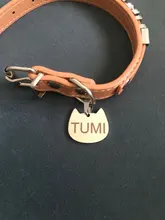 Placas de identificación personalizadas para perros, placas de identificación de Metal para cachorros, placas de identificación antipérdida para perros, gatos Pitbull, tarifa de grabado incluida accesorios para perros