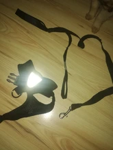 Breathable Mesh Small Dog Pet Harness and Leash Set Puppy Cat Vest Harness Collar For