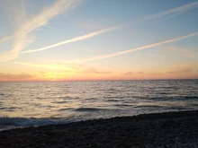 Monedero de cuero de PU de piel de oveja sintética para hombre y mujer, Mini cartera corta para cambio de dinero, portatarjetas, novedad