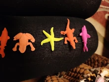 5 uds novedad agua crecer animal en el océano Rosa flor pescados para niños juguetes educativos imaginación juguetes envío gratis