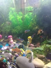 Accesorios de decoración de Acuario, accesorios para mascotas, pecera, adorno bonito de sirenita, pecera, escritorio, 1 Uds.