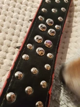 Dog-Collar Studded Spikes Pitbull Large Dog High-Quality Mastiff Big with Black Sharp