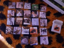 45 unids/caja gato papelería pegatinas lindo pegatinas Scrapbooking planificador diario documentos japoneses pegatinas decorativa de Ablum