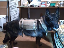 Dog-Vest Pet-Training-Vest Military-Working Tactical Dogs Strong-Dog Large with Handle