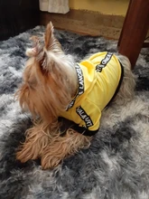 Puppy-Outfit Dogs-Clothing Chihuahua Dog Hoodie Pets Spring Small Fashion Medium