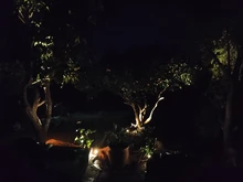 Spotlight Separately-Lamp Solar-Panel Garden-Tree Landscape Yard Warm T-SUNRISE 2 White