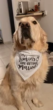 Bandana de boda para perro con mensaje de My Humans are casting, She Said Yes, bufanda babero triangular para mascota, pañuelo, anuncio de compromiso