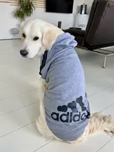 Perro ropa para mascotas Casual con capucha abrigo otoño perros grandes abrigo chaqueta ropa Labrador traje de impresión en Color de gran tamaño