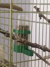 Alimentador de aves, bebedero para mascotas, Clip para equipo agrícola, tamaño: M, 4 unids/lote