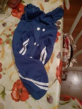 Suéter con capucha Para gato, Ropa cálida Para mascotas, Para gatos, Sphinx, satten, Ropa Para gatos, Kedi, Giyim, productos Para mascotas