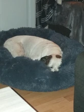 Cama de perro suave juguetes de peluche Donut sátiro ronda perro perrera Ultra lavables suaves perro gato cojín de cama de sofá cálido Venta caliente