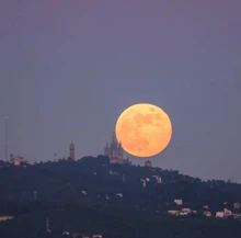 Conjuntos de ropa para niños ropa de dormir ropa de niños araña conjunto de Pijamas de algodón de las muchachas del bebé de dibujos animados Pijamas de Primavera de otoño