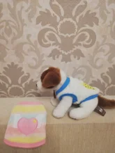 Hoodie Vest Shirt Dogs-Coat Puppy Fleece Chihuahua Pet-Dog Warm Dog for Cat Clothing