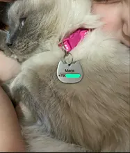 Placas de identificación personalizadas para perros, placas de identificación de Metal para cachorros, placas de identificación antipérdida para perros, gatos Pitbull, tarifa de grabado incluida accesorios para perros