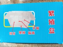 Caja de aislamiento de cría de pecera de acrílico transparente, soporte para incubadora de acuario