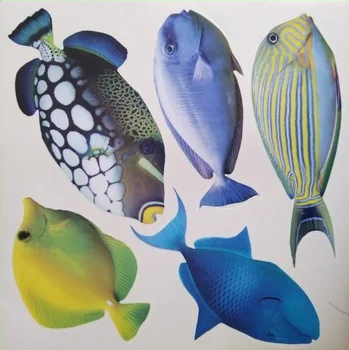 8 packs/box GLOW FISHES PVC Sticker DIY Wall Kitchen Kids Living Room Door Plate Cup Vase Tile Accessory Functional Toy Hobby
8 packs/box GLOW FISHES PVC Sticker DIY Wall Kitchen Kids Living Room Door Plate Cup Vase Tile Accessory Functional Toy Hobby