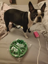 Plato de comida lenta para perros y gatos, plato de comida para prevenir la obesidad, antichoques, saludable