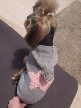 Sweater Puppy-Dog French Bulldog PETCIRCLE Teddy Chihuahau Winter Autumn Starfish Nordic