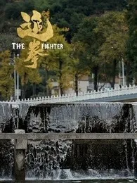 追拳