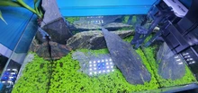 Aquarium-Lights Aquatic-Freshwater-Lamps Fish-Tanks Led-Plants Clip-On-Lamp Waterproof