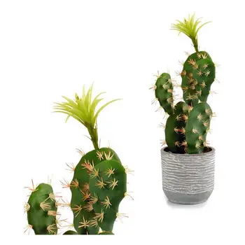 Cactus Plastic White Cactus (14 x 46 x 20 cm)
Cactus Plastic White Cactus (14 x 46 x 20 cm)