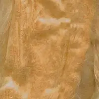 "Wool for felting viscose" , "wool for felting"," goods for felting"," wool felting"," felting viscose"
"Wool for felting viscose" , "wool for felting"," goods for felting"," wool felting"," felting viscose"