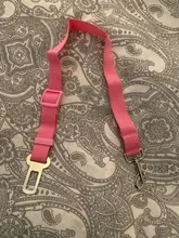 Correa ajustable para cinturón de seguridad de coche, Protector de seguridad para mascotas, accesorios de viaje al aire libre, arnés sólido de separación, suministros para mascotas