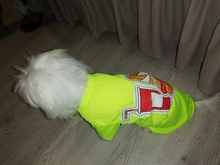 Ropa para Perro barata, adorable chaleco para Perro, camiseta para mascotas, disfraz para perros, Ropa de algodón para cachorros, trajes para perros pequeños