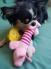 Juguetes Para Perros resistentes a las mordeduras, baquetas de pollo creativas, juego de mascotas, juguetes para masticar para perros, cachorros