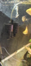 BIO-SPONGE-FILTER Air-Pump Aquarium Fish-Tank 1pcs