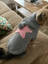 Sweater Puppy-Dog French Bulldog PETCIRCLE Teddy Chihuahau Winter Autumn Starfish Nordic