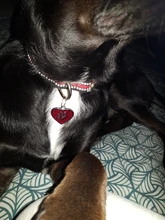 Etiqueta de identificación personalizada para mascotas, Collar de etiqueta en forma de corazón, Colgante para Nombre de gato, colgante de perro grabado personalizado, placa con nombre, accesorio para Collar