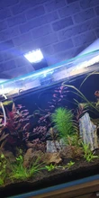 Aquarium-Lights Aquatic-Freshwater-Lamps Fish-Tanks Led-Plants Clip-On-Lamp Waterproof