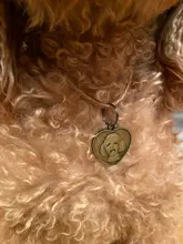 Placa de identificación con grabado gratis para perros y gatos, placa con nombre personalizada, antipérdida, con forma de corazón, colgante para Collar