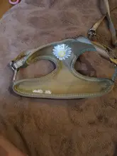 Chaleco para gatos mascota con arnés Floral para perros pequeños, conjunto de arnés y correa de malla acolchada, para cachorros, Chihuahua, Yorkie 10E