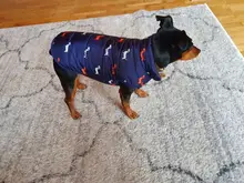 Abrigo de invierno para perro pequeño abrigo de perro cálido, chaqueta para perro, traje para cachorro, abrigo para perro Chihuahua Shih Tzu, ropa para perro