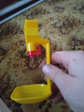 Farming-Equipment Drinkers Water-Bowl Chicken-Hanging Farmtools Models Nipple Pheasant